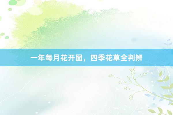 一年每月花开图,四季花草全判辨
